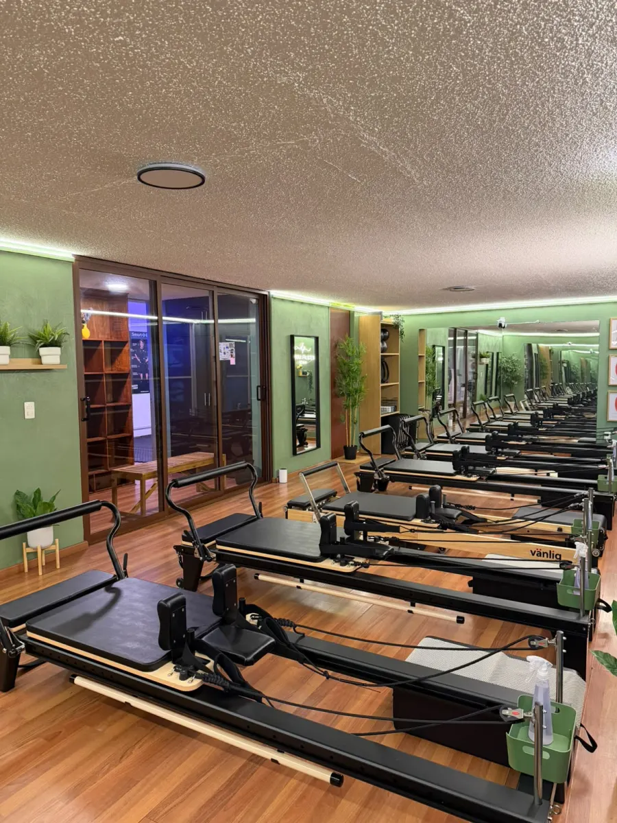 Vista del estudio hacia el acceso, con plantas y letrero de Donna Pilates