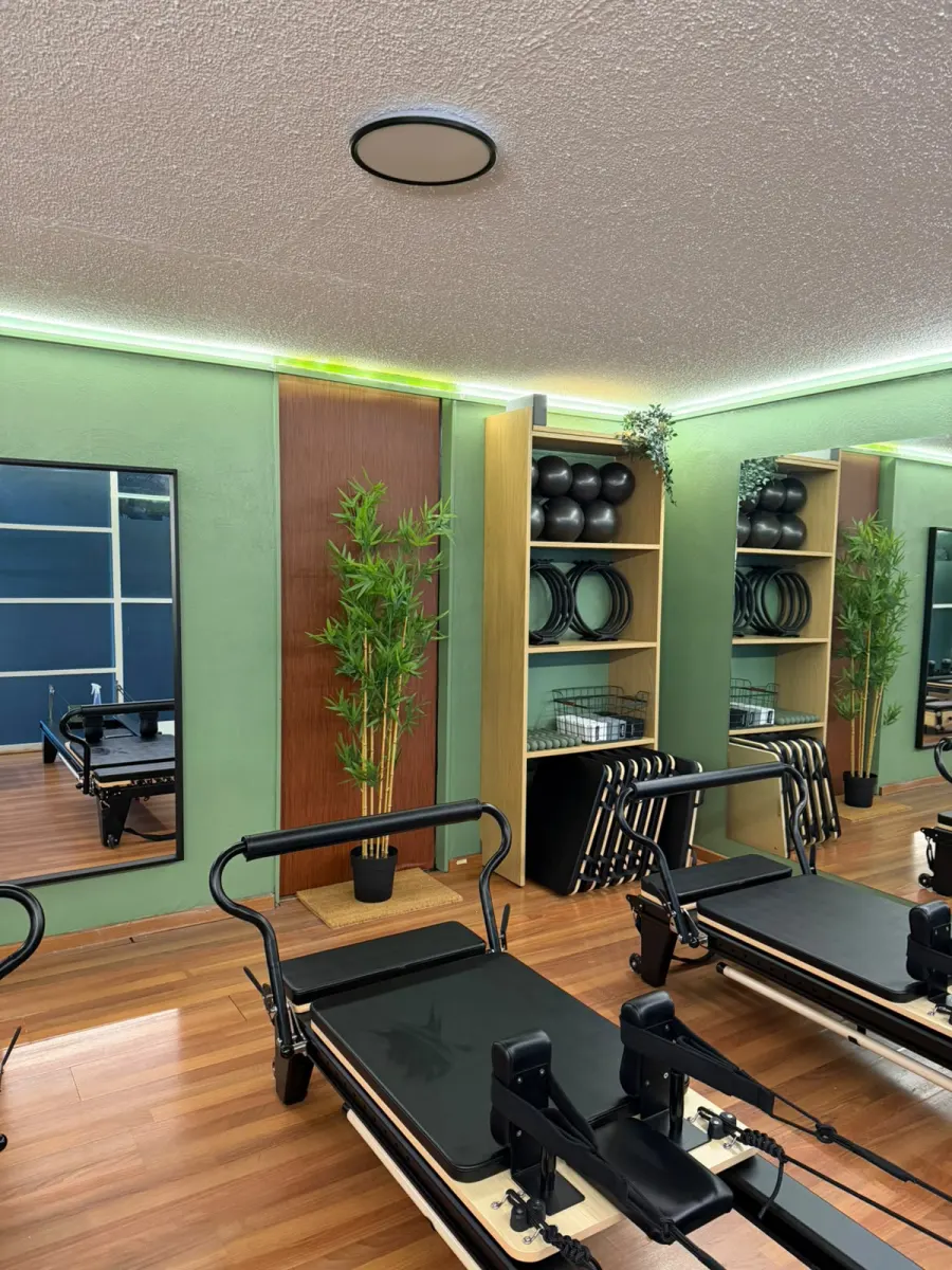 Sala principal con reformers alineados y muro verde