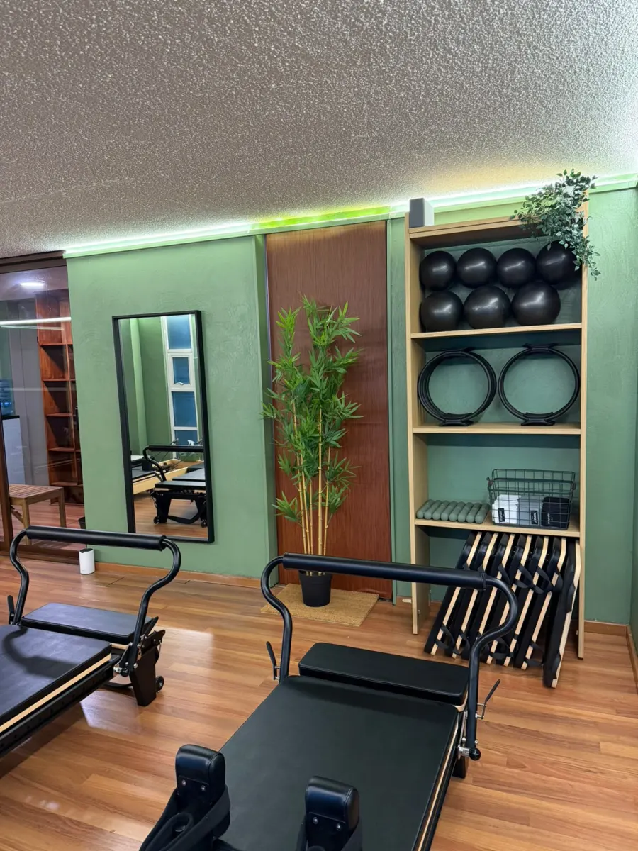 Repisa con pelotas, aros y accesorios de pilates junto a los reformers